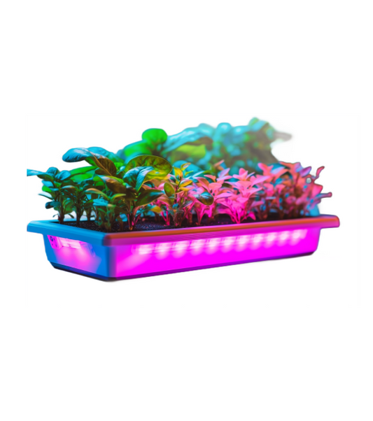 Smart Hydroponic Plant Pot